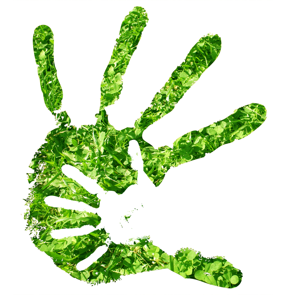 Правая рука зеленая. Отпечаток ладони зеленый. Зеленая ладонь. Зеленая рука оттиск. Зеленые руки на белом фоне.