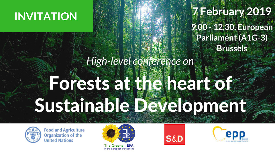 Forests at the heart of Sustainable Development